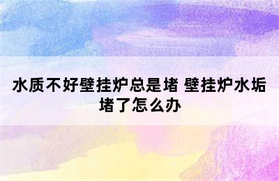 水质不好壁挂炉总是堵 壁挂炉水垢堵了怎么办